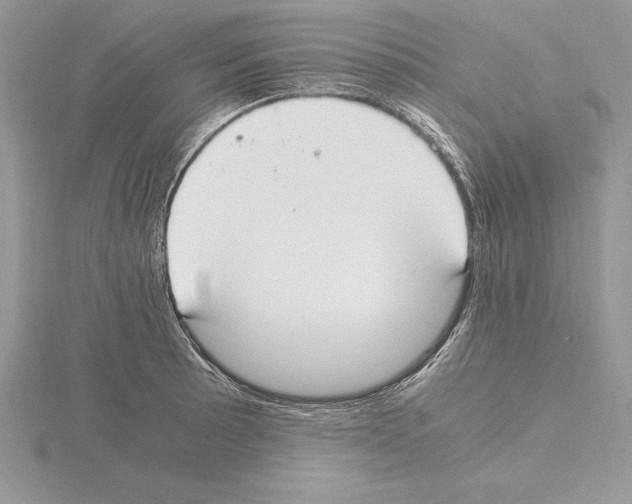 X0000115021089200912071022