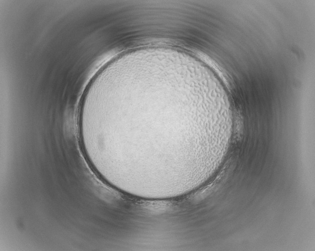 X0000115021090200912071022