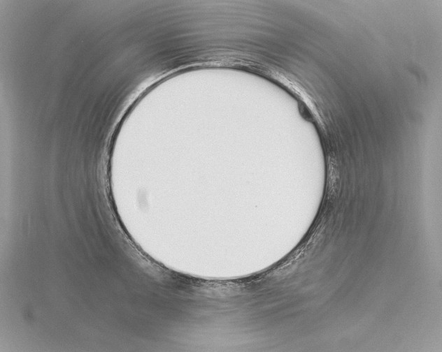 X0000115021091200912071022