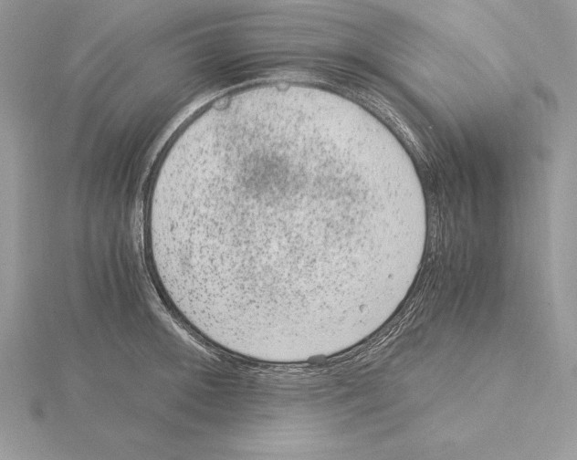 X0000115021092200912071022