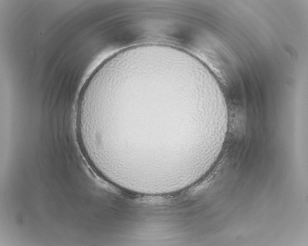 X0000115021094200912071022