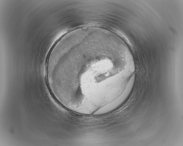 X0000115021095200912071022