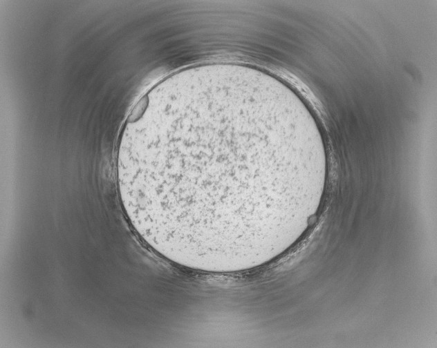 X0000115021097200912071022