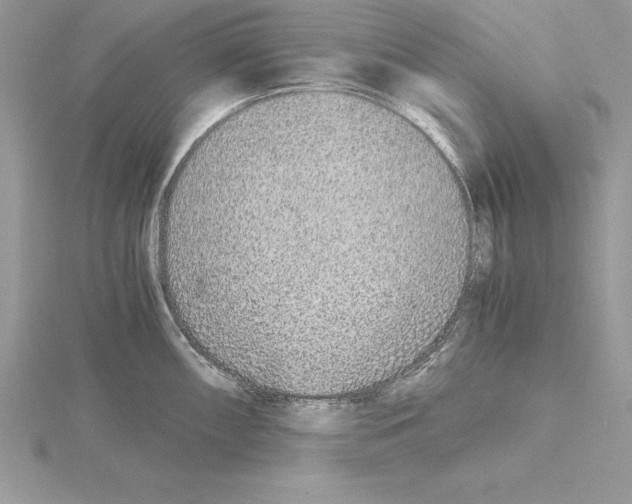 X0000115021098200912071022