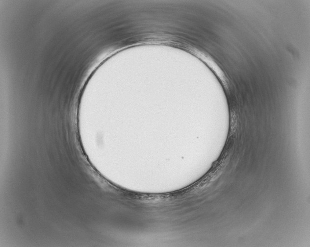 X0000115021099200912071022