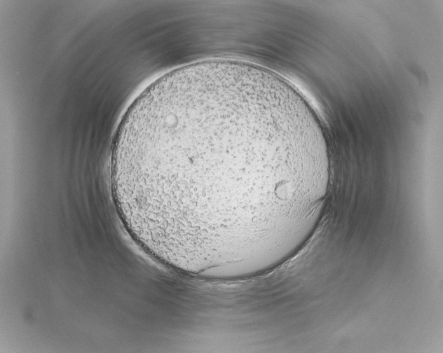 X0000115021100200912071022