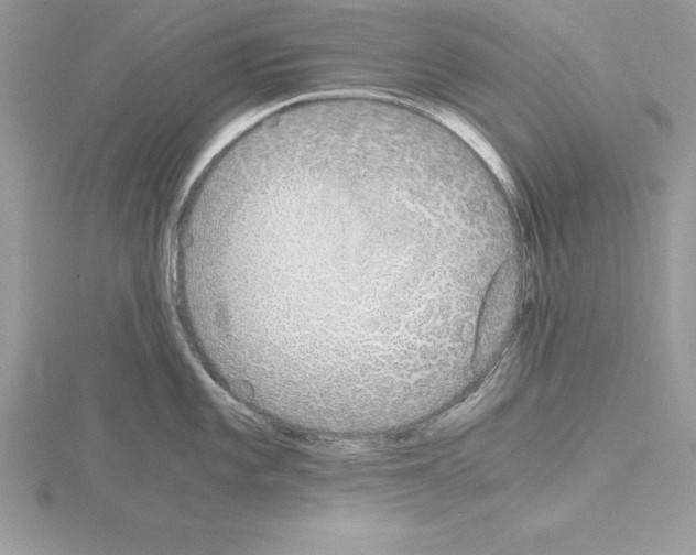 X0000115021101200912071022