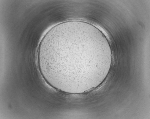 X0000115021102200912071022