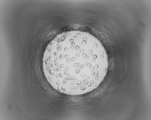 X0000115021105200912071021