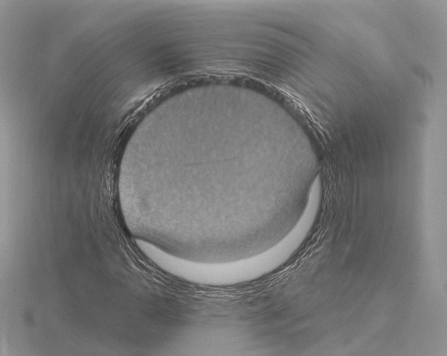 X0000115021110200912071021