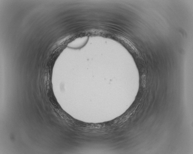 X0000115021111200912071021