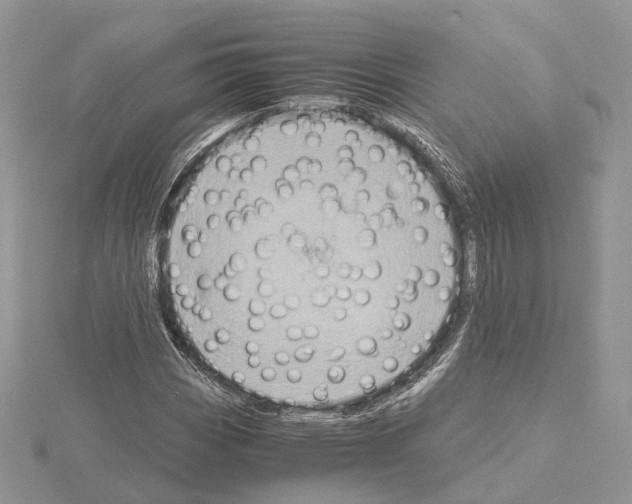 X0000115021113200912071021