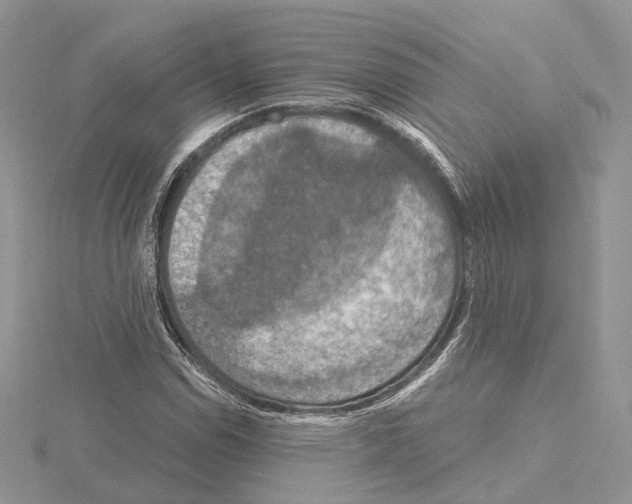 X0000115021114200912071021