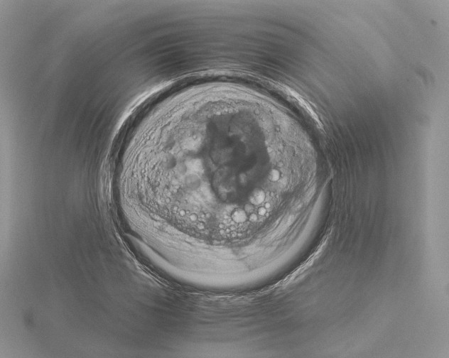 X0000115021117200912071021