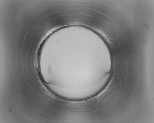 X0000115021118200912071021