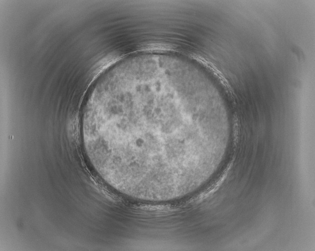 X0000115021121200912071021