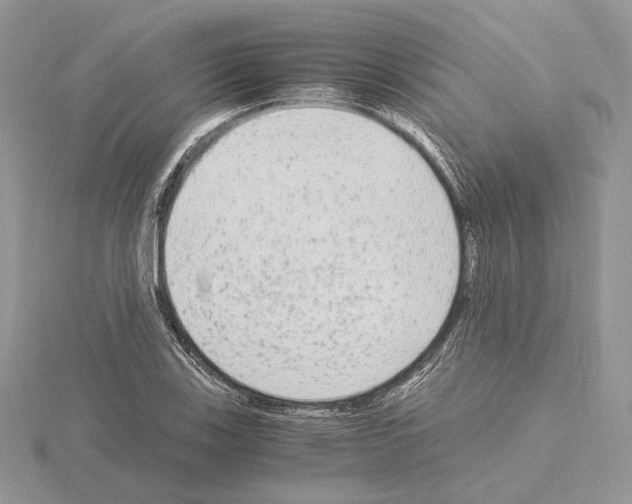 X0000115021123200912071022