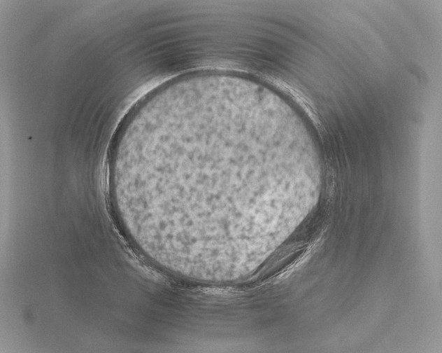 X0000115021125200912071022