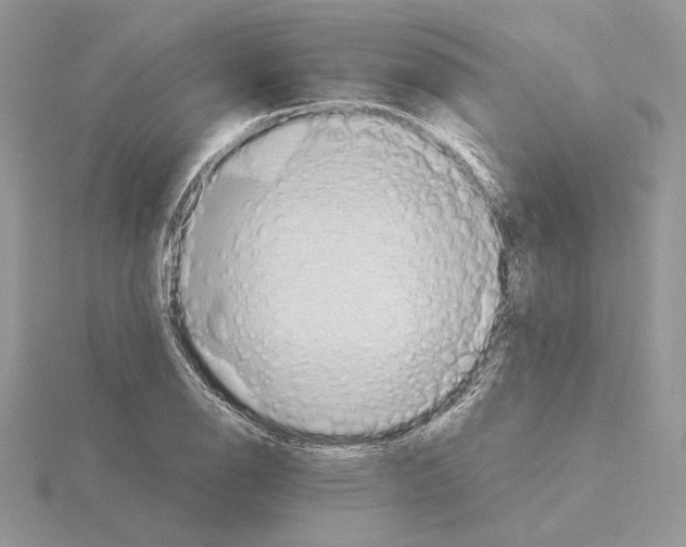 X0000115021126200912071022