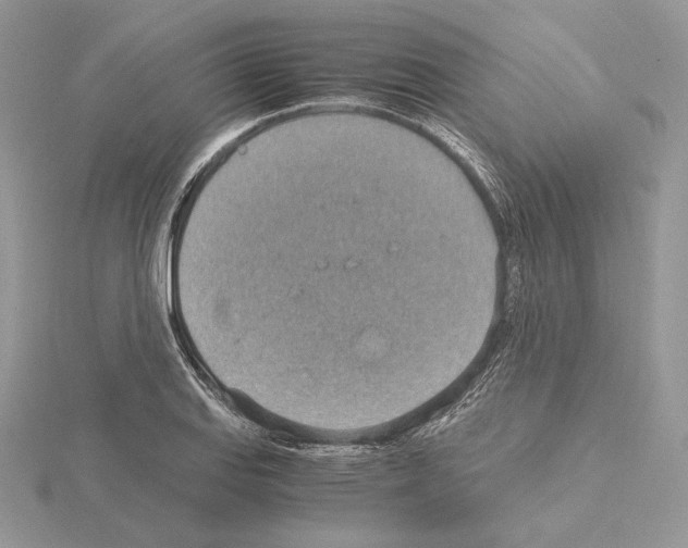 X0000115021127200912071022