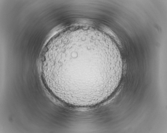 X0000115021130200912071022