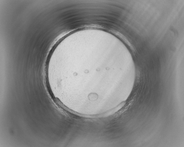 X0000115021133200912071022