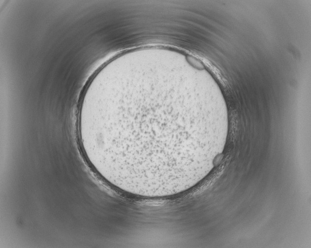 X0000115021134200912071022