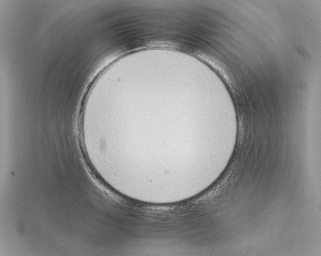 X0000115021135200912071022