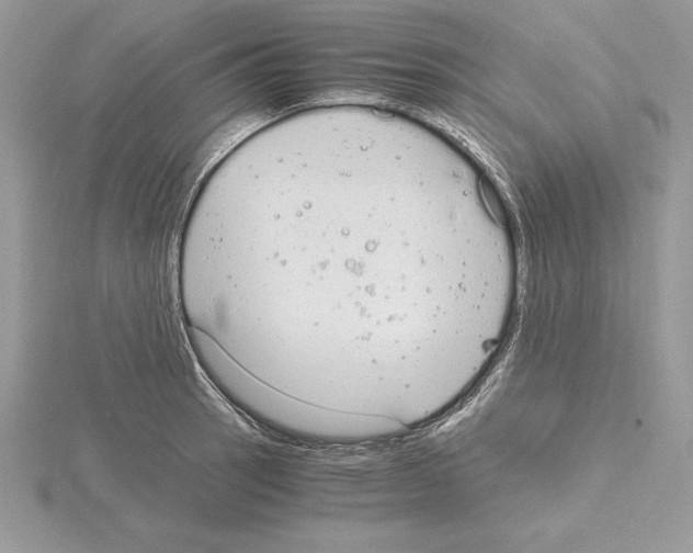 X0000115021137200912071022