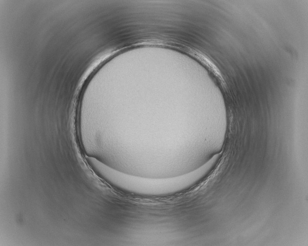 X0000115021138200912071022