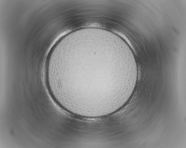 X0000115021139200912071022