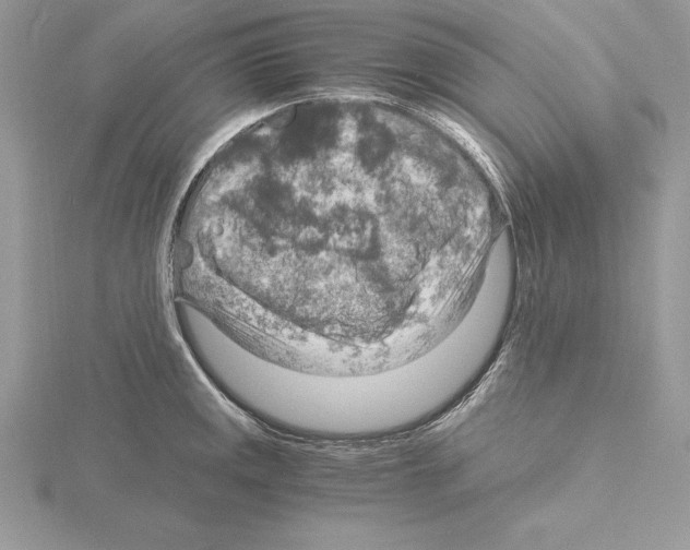 X0000115021141200912071022