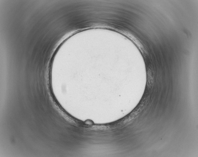 X0000115021142200912071022