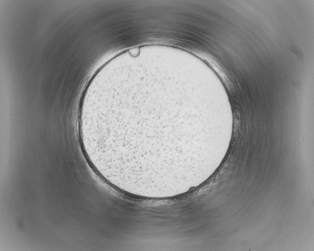 X0000115021143200912071022