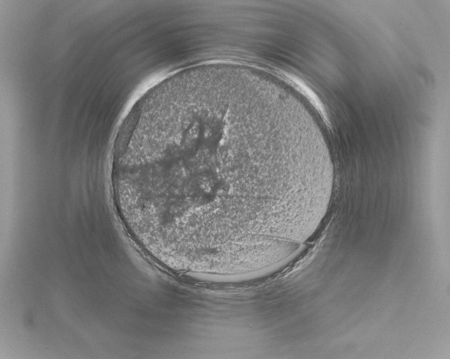 X0000115021146200912071022