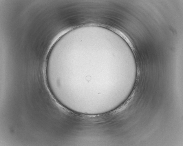 X0000115021149200912071022