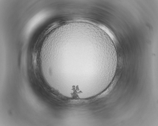 X0000115021150200912071022