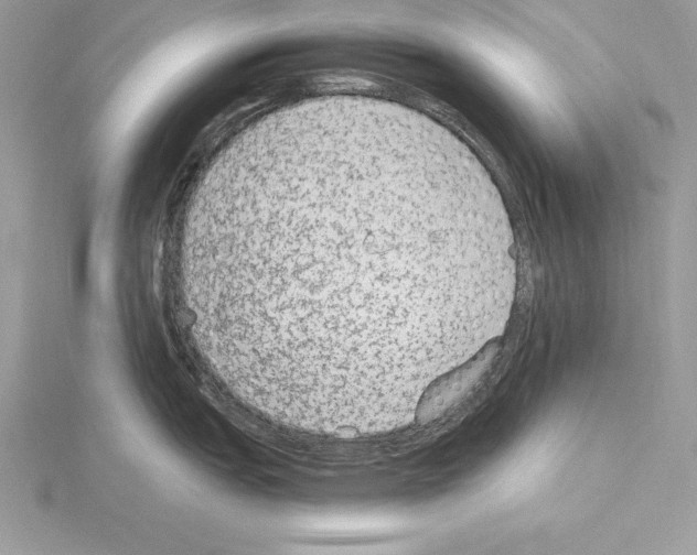 X0000115021151200912071022