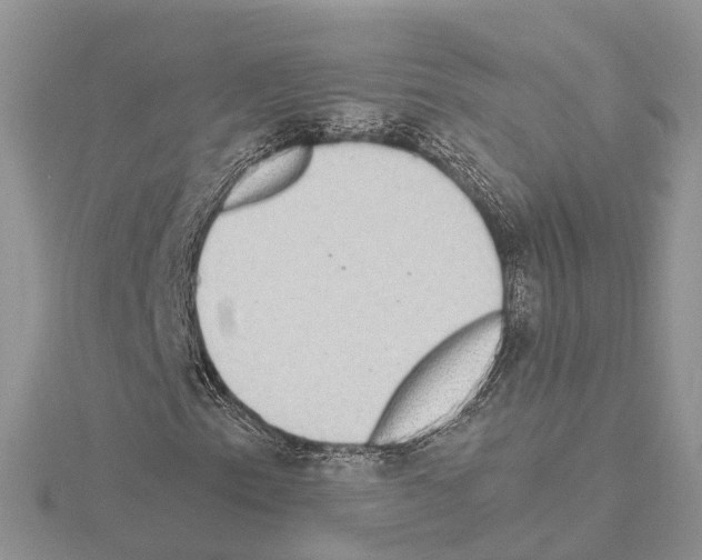 X0000115021153200912071021