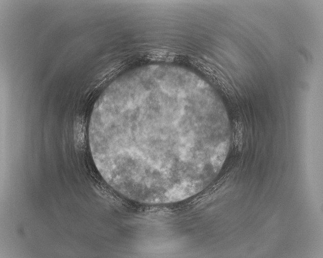 X0000115021154200912071021