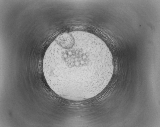 X0000115021156200912071021