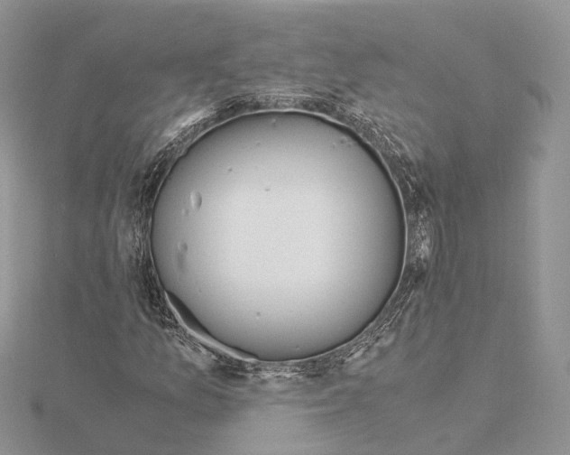 X0000115021157200912071021