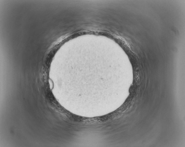 X0000115021159200912071021