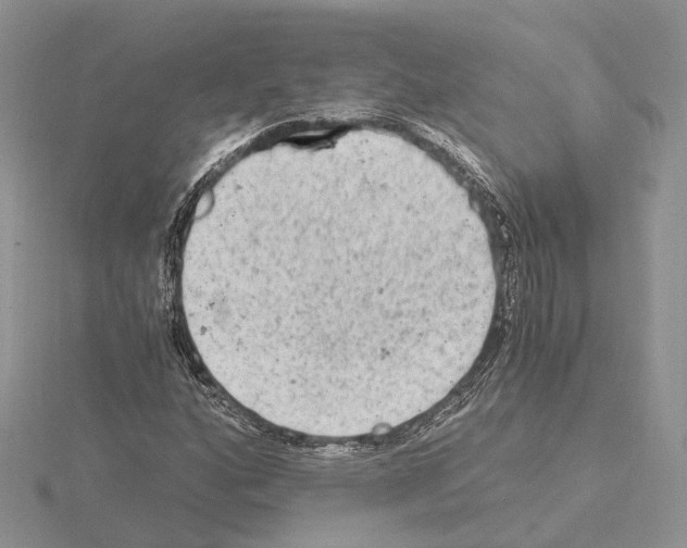 X0000115021160200912071021