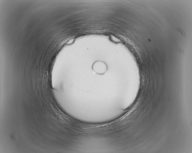 X0000115021161200912071021