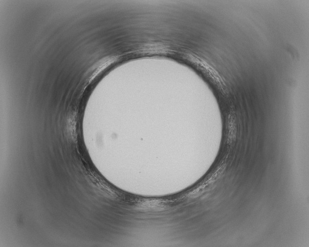 X0000115021162200912071021