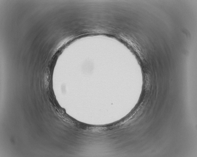 X0000115021163200912071021