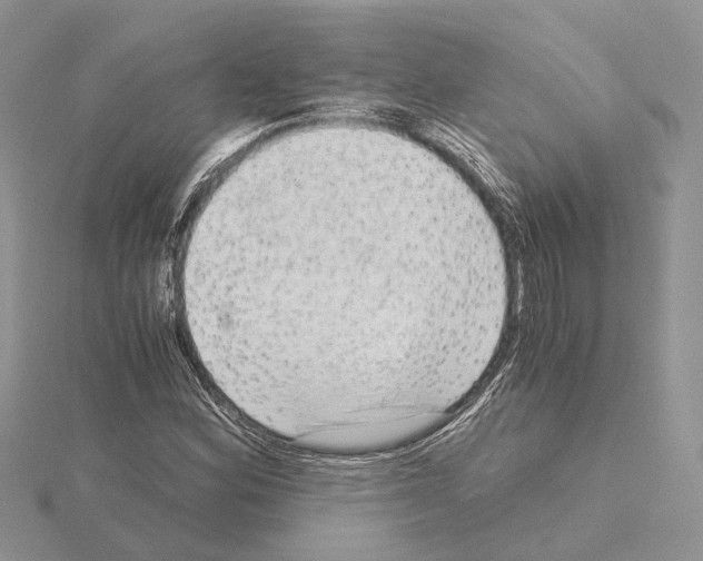 X0000115021164200912071021