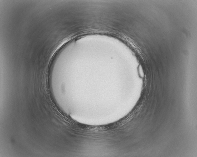 X0000115021165200912071021