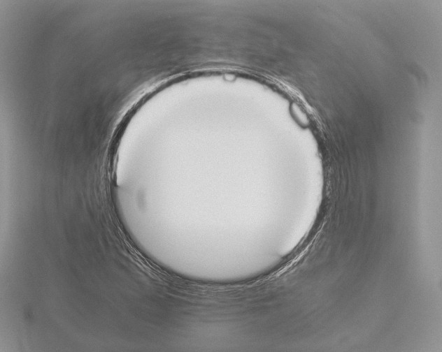 X0000115021167200912071021